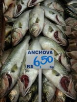 Anchovas no Mercado de Florianópolis