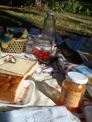 picnic-parquemunicipal-bh_002.jpg