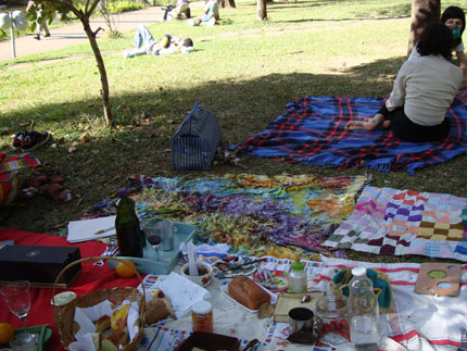picnic-parquemunicipal-bh_011.jpg