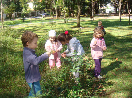 Criança colhendo plantas