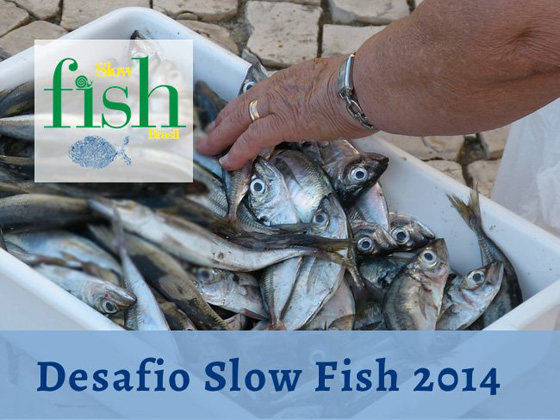 slowfish2014