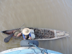 Rabeta pescador e acaris Foto de Fabiana Thomé da Cruz