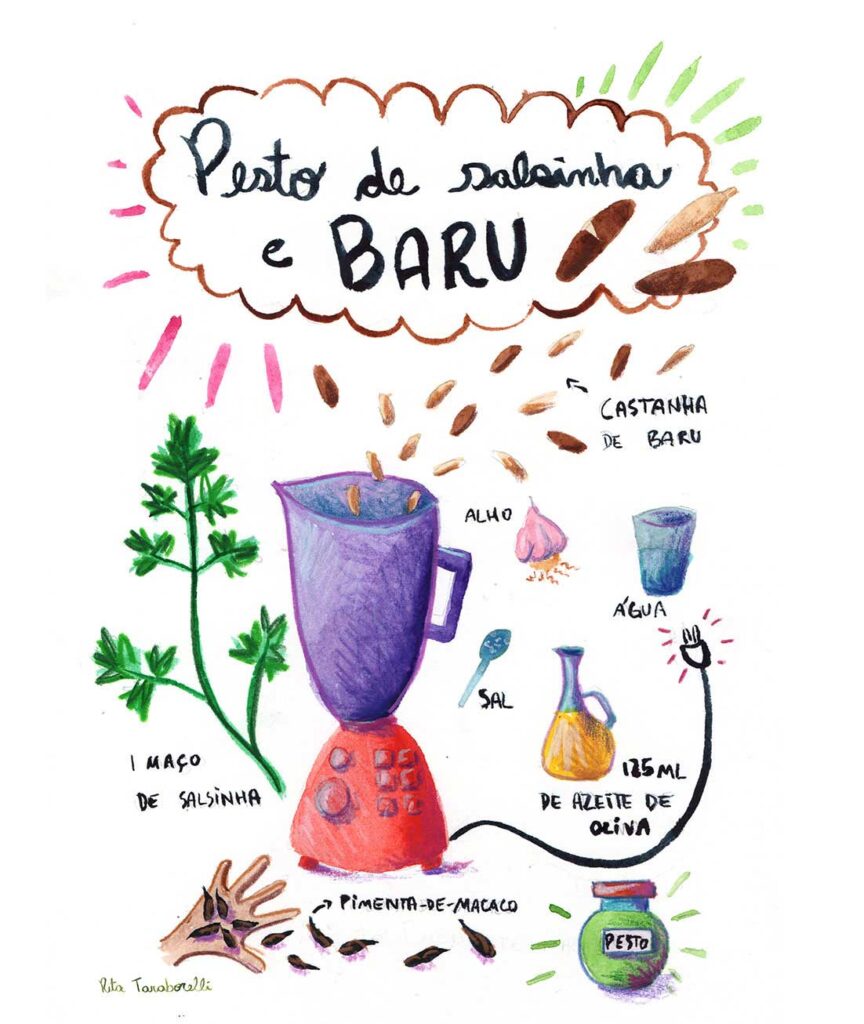Ilustração de Rita Taraborelli da receita de pesto de salsinha e baru